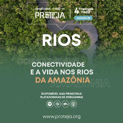 Conectividade e a vida nos rios Amazônicos