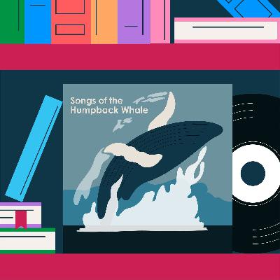 Songs of the Humpback Whale: How one record helped save the whales