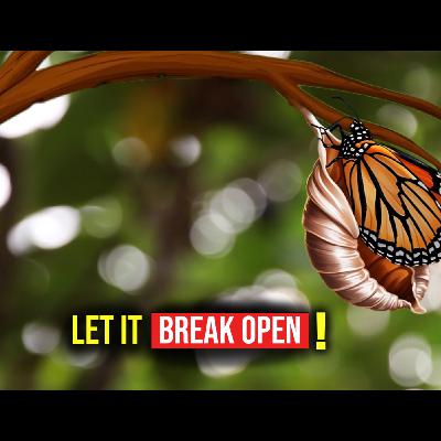 Winter Season Trailer: Broken Open Winter Season Trailer: Broken Open