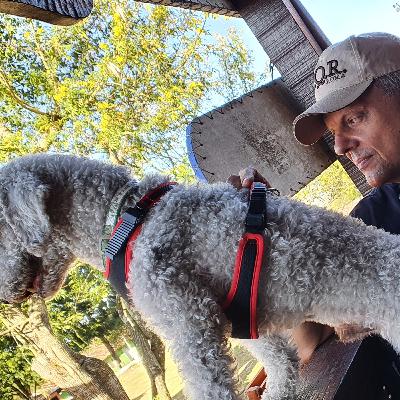 Cap. 3 - A degustação dos Alimentos