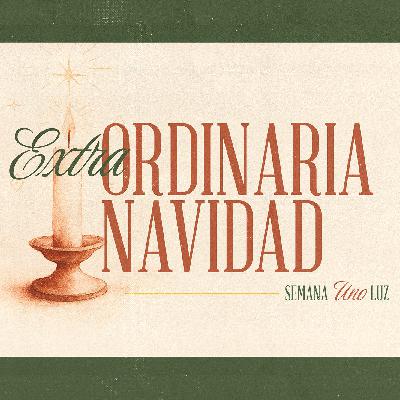 Extra ORDINARIA NAVIDAD - LUZ