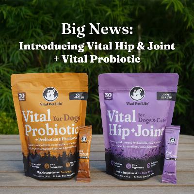 Big News: Introducing Vital Hip & Joint + Vital Probiotic