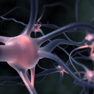 El instinto del Subconsciente