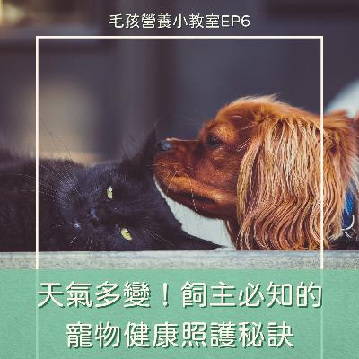 EP6. 天氣多變！飼主必知的寵物健康照護秘訣