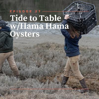 Tide to Table w/ Hama Hama Oysters Tide to Table w/ Hama Hama Oysters