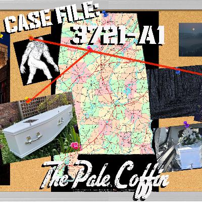 The Pale Coffin: Case File 3721-A1 (Actual Play TTRPG) The Pale Coffin: Case File 3721-A1 (Actual Play TTRPG)
