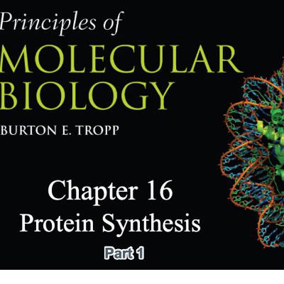 Protein Synthesis Part 1 Tropp Chapter 16