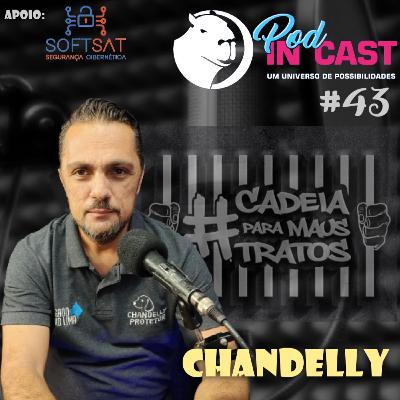 CHANDELLY| Vereador | InCast #43