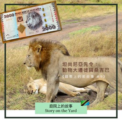 坦尚尼亞先令：動物大遷徙與尚吉巴（上）《錢幣上的那些事 #9》
