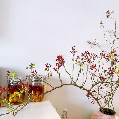 甜冬特辑 甜冬特辑