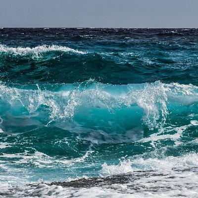 Sonidos del Mar; olas y gaviotas para relajarse, dormir y meditar 1HORA