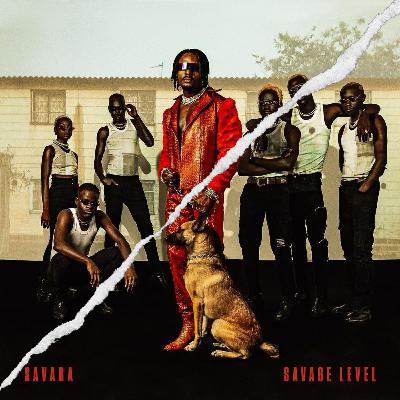 SAVARA - SAVAGE LEVEL ALBUM REVIEW