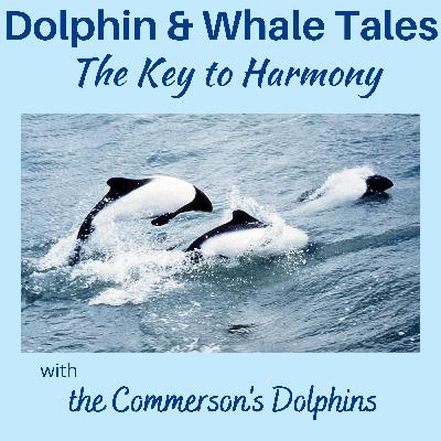 10 The Key to Harmony with the Commerson's Dolphins