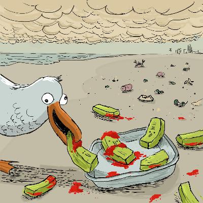 Seagulls