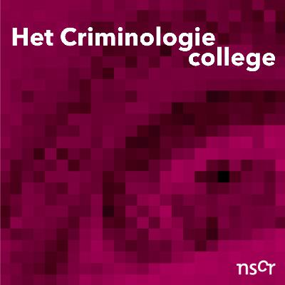 Harder straffen helpt niet. Hoe maken we dat aan iedereen duidelijk? (Special)
