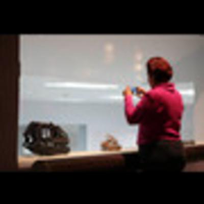 Scientific Collections