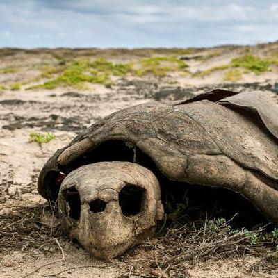 Living Planet: Now or never: The planet's biggest environmental problems — part 1 Living Planet: Now or never: The planet's biggest environmental problems — part 1