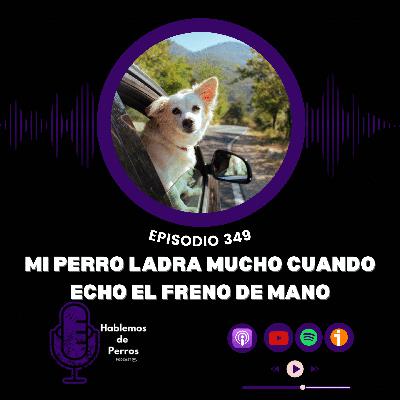 EP#349. Mi perro ladra cuando echo el freno de mano