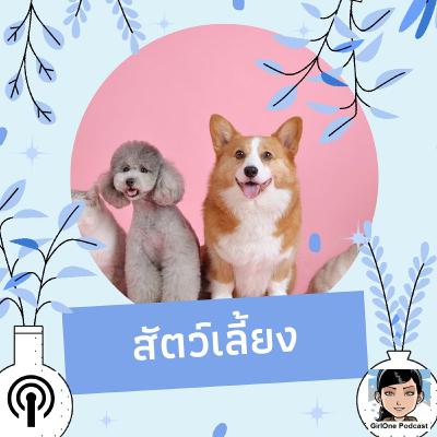 1072 สัตว์เลี้ยง 1072 สัตว์เลี้ยง