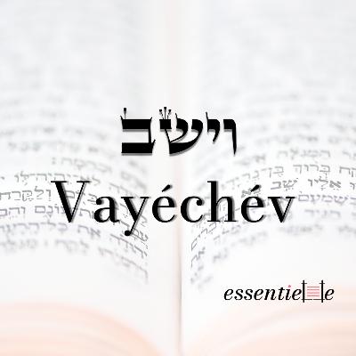 5786 - Vayéchév - Transformer les rêves en réalité