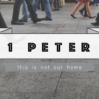 1 Peter 2:25-3:2