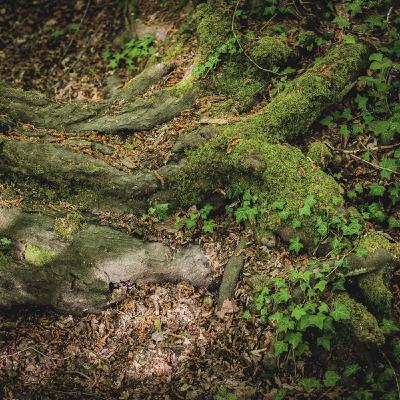 Pop out ! Guided Meditation & Words Of Encouragement Pop out ! Guided Meditation & Words Of Encouragement