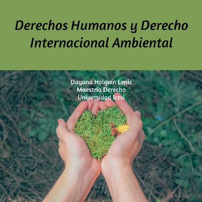 Exposición principios 22, 23 y 24 de la Declaración de Rio (1992) y sus contrapartes en la Declaración de Estocolmo (1972)