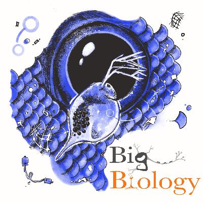 Microplastics, macro-problems (Ep 133)