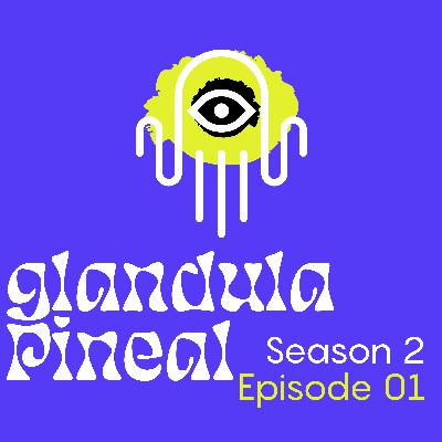 Glandula Pineal Glandula Pineal