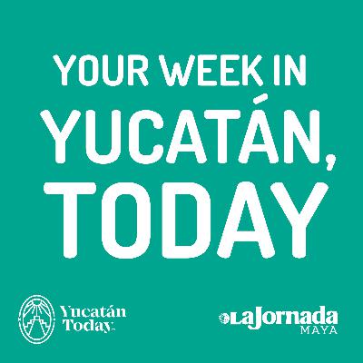 February 6: Your Week in Yucatán, Today