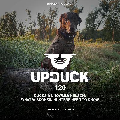 From Ducks to Knowles-Nelson: What Wisconsin Hunters Need to Know
