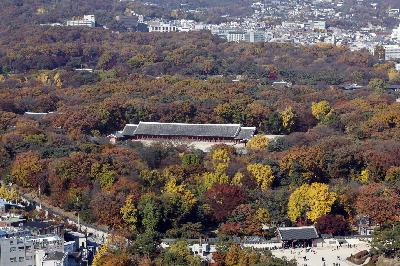 Clash over Seoul's Jongmyo Shrine pits preservation against urban development