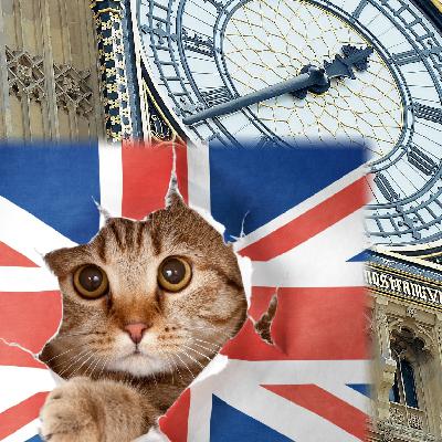 Comedy podcast. Life with Bucky. Ryan Gosling sends telegram. Nobel Prize winner Scottie McDougal and Kitty Cuckoo. Comedy podcast. Life with Bucky. Ryan Gosling sends telegram. Nobel Prize winner Scottie McDougal and Kitty Cuckoo.