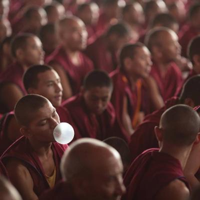 Grupo de estudos sobre "Budismo Engajado" (12/11/20) Grupo de estudos sobre "Budismo Engajado" (12/11/20)