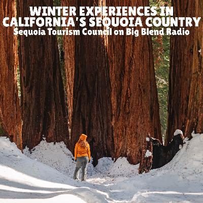 Winter Experiences in California's Sequoia Country