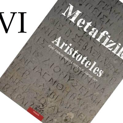 Aristo: Yöntem ve Diyalektik | Metafizik 6