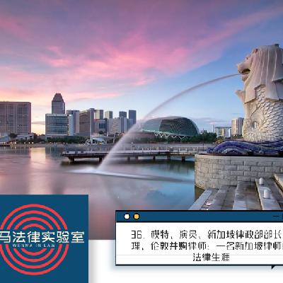36. 模特、演员、新加坡律政部部长助理、伦敦并购律师：一名新加坡律师的法律生涯