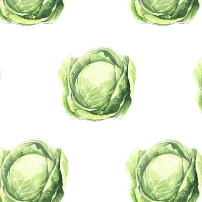 [Métiers inconnus 13/14] Sacheuses de planter les choux (Fougeré - Vendée, 1931)