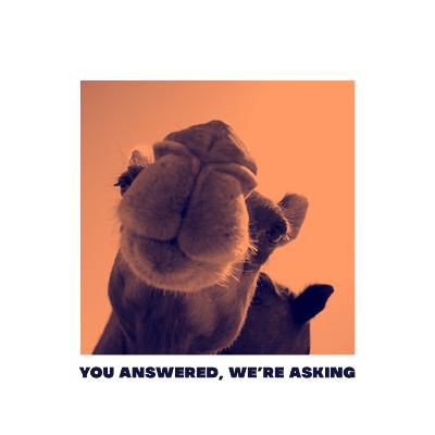 Zach & Hannah: Interior Design/A Dream of Going Viral