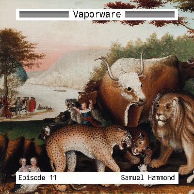 Episode 11: Samuel Hammond