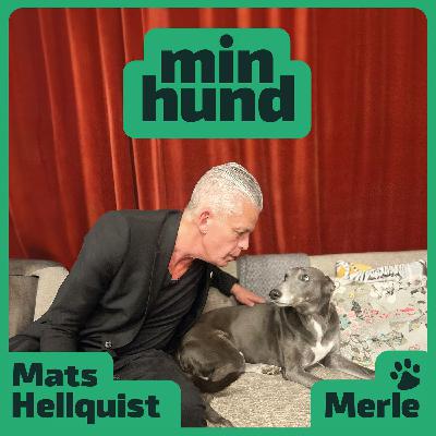 Min Hund, avsnitt 7: Mats Hellquist och Merle