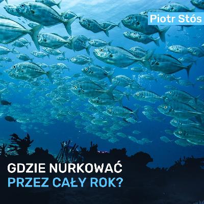 Gdzie nurkować przez cały rok? - Piotr Stós Gdzie nurkować przez cały rok? - Piotr Stós