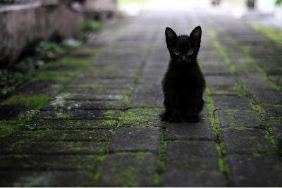 14.「自分の価値を識ることを困難にしている、現在の教育制度とは⁈」（後編） from Radiotalk