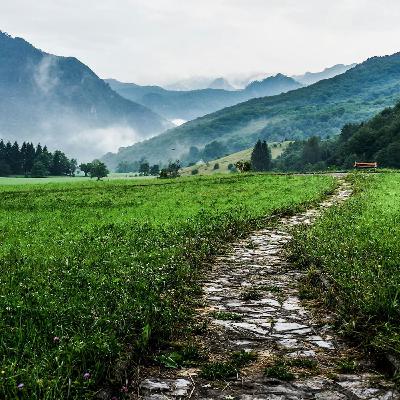 Le strade panoramiche più spettacolari del mondo un viaggio attraverso i paesaggi più mozzafiato Le strade panoramiche più spettacolari del mondo un viaggio attraverso i paesaggi più mozzafiato
