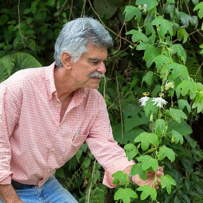 Un viaje por la vida de Hermes Justiniano: “Los ecocidios son un suicidio aplicado al género humano” Un viaje por la vida de Hermes Justiniano: “Los ecocidios son un suicidio aplicado al género humano”