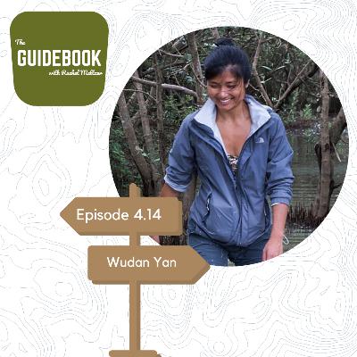 Wudan Yan is more than a journalist