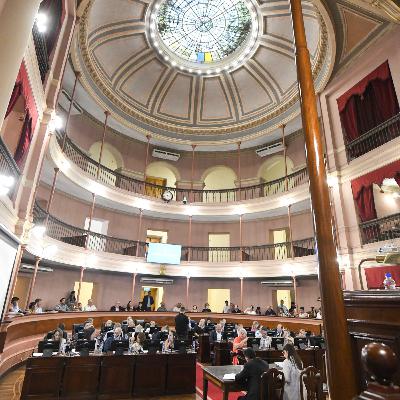 Panorama Informativo semana del 1 al 5 de diciembre