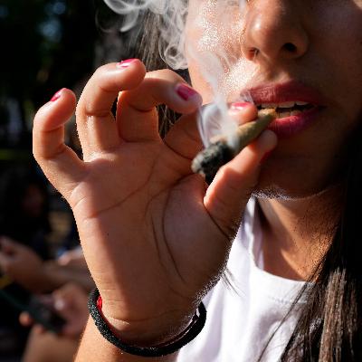 Donald Trump’s Pot Shot