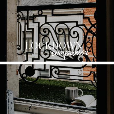 02- Lockdown Companion in Belgium