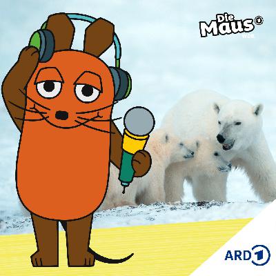 Eisbärmama adoptiert Eisbärbaby